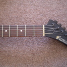 EDWARDS Metallica  ジェイムズモデル EX の画像