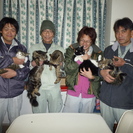 【急募】主婦の方歓迎、パートさん募集です！の画像