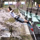 《急募！！バンジージャンプカメラマン・カメラマンアシスタント大募集！！》の画像