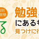 教育パワーランチと教育パワーナイトのお知らせ