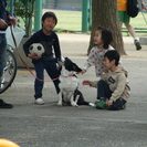 初心者大歓迎！　フォト(カメラ)サークル撮季メンバー募集中