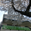 KIWI Japanese Language School / KIWI 日本語教室の画像