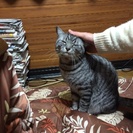 里親募集しています。