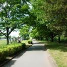 健康的に土or日の朝、一緒に活動しませんか！？