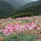 ご来光と夕日と雲海とコマクサに期待！　木曽御嶽山1泊2日登山