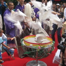 冠婚葬祭・各種イベントで飛ばす白い鳩ならハトの宅配便にお任せ下さい - 松原市