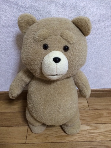 ted ぬいぐるみ ☆