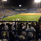 一緒に楽しく野球しませんか？ - スポーツ
