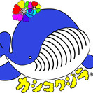 香川・徳島・高知・愛媛まで完全対応！！