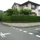 庭木の剪定、庭の管理などを格安にお受けします。