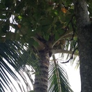 ２０代・３０代が急増！市場の半値程度で旅行に行けるリゾート会員権が大人気！楽しく遊んで収入になります♪旅行好きや主婦も大活躍しています♪の画像