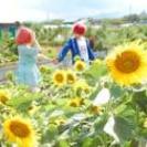 長い年月体の痛みで困っている方