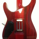 ESP Horizon Customの画像