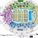 【価格交渉可】a-nation 8/31 味の素スタジアム 着席 下層バックスタンド 2枚 の画像