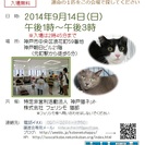 第11回猫の譲渡会