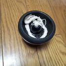 サラダ油でも点いちゃうシンプルアジアンなランプ！の画像