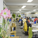 【アルバイト急募！】東京都中央卸売市場内（花き部）での一般事務の画像