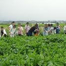 ＪＡ湘南 主催　平塚市 共催　　【婚活バスツアー　恋の収穫　秋物語】