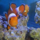 時間に縛られないお仕事です。主婦・主夫の方や副業でお考えの方もど...