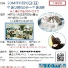 第12回猫の譲渡会