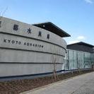 11/15 『京都水族館』お客様入場料完全無料の街コン 婚活 恋...
