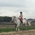 子供から大人まで気軽に乗馬が楽しめます