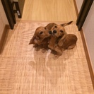 沢山のご応募ありがとうございました。