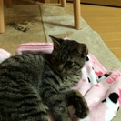 もらってください