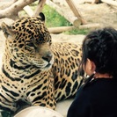 「京都市動物園」で恋活 婚活 「動物好き」イベント