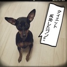 ＊里親決定しました＊