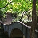憧れの広尾にある古風な一軒家シェアハウスのご案内 - 不動産