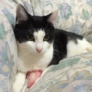 やんちゃな男の子です