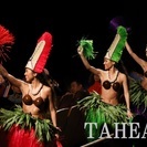 「タヒチアンダンスで美しくなる!!」　女性専用タヒチアンダンススタジオ　TAHEAT（タヒート）恵比寿の画像