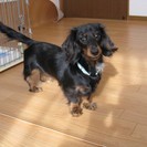 受付終了いたします。