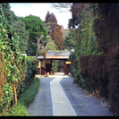 【ご当地講座】～桜鶴苑(東山・南禅寺エリア)でとっておきの春の一...