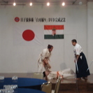 日子流体術／体術・小太刀・護身術からなる武術の画像