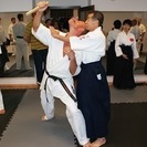 日子流体術／体術・小太刀・護身術からなる武術の画像