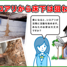 ※千葉県全域可　　【個人向けシロアリ調査無料、予防施工から駆除工...