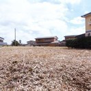 泉町本谷売地 - 土地販売/土地売買