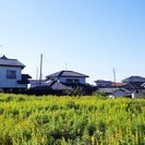 金山町売地2