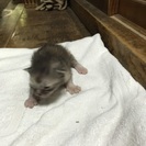 3月１４日生まれ