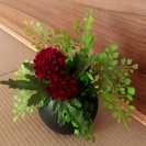 飲み友募集（女性のみ）