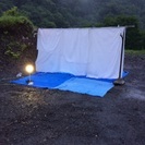 クワガタ カブト 昆虫 全般