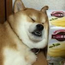 引き取ってくれるかた
