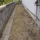 草刈り・庭木剪定・伐採はお任せください！！ - 秋田市
