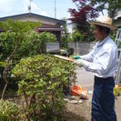 草刈り・庭木剪定・伐採はお任せください！！ - 地元のお店
