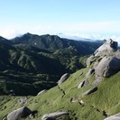 屋久島　宮之浦岳、縄文杉少人数トレッキング4日間（うち山小屋2泊...