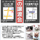 5月10日  猫の譲渡会　名古屋市西区　ふれあい館　みなと猫の会主催