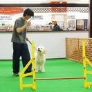 ＤＯＧＰＬＥＸ　ペットホテル２４時間スタッフ常駐♪ - 地元のお店