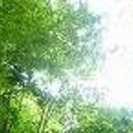 お一人で悩まれている方、お気軽にご相談下さい。の画像